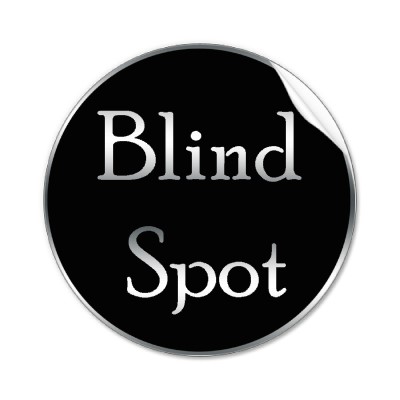 Blind Spot Icon