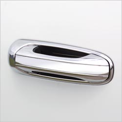 Chrome Door Handles