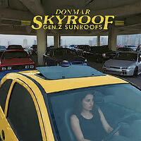 GenZ-YellowCar-PkGarageWoman